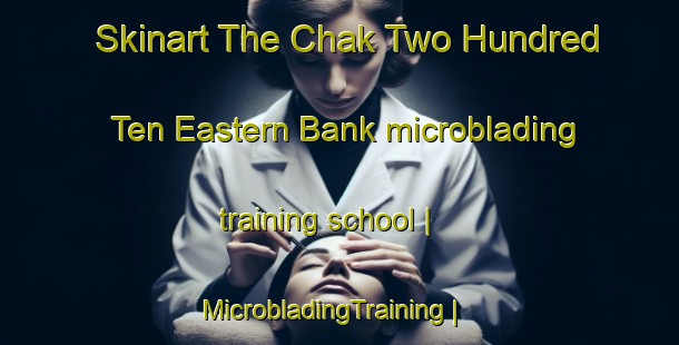 Skinart The Chak Two Hundred Ten Eastern Bank microblading training school | MicrobladingTraining | MicrobladingClasses | SkinartTraining-Pakistan